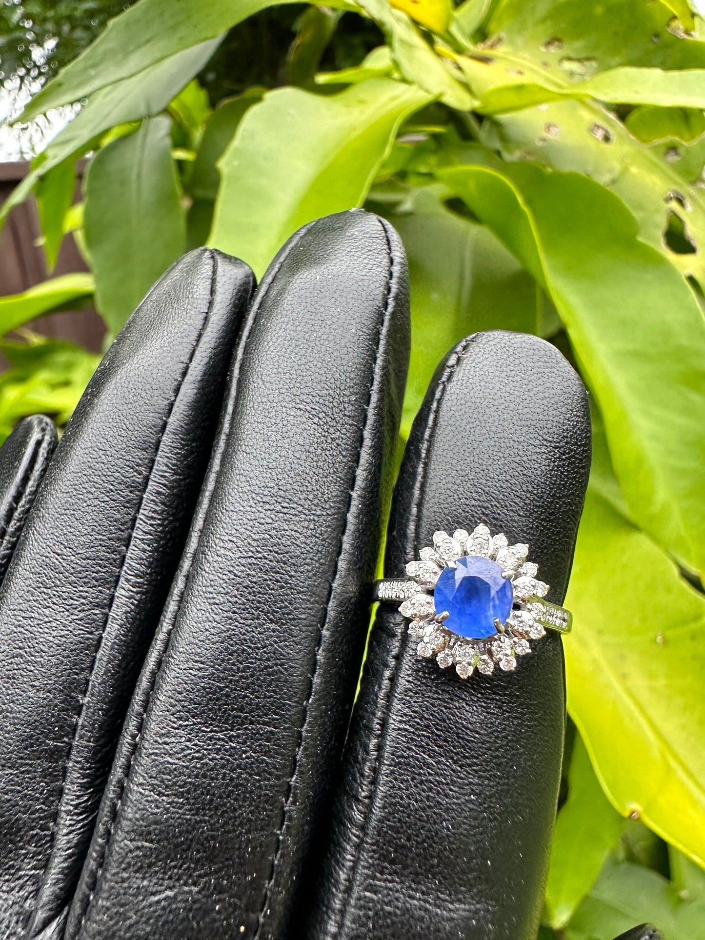 1.63 CT Natural Unheated Burmese Sapphire and natural Diamond Ring