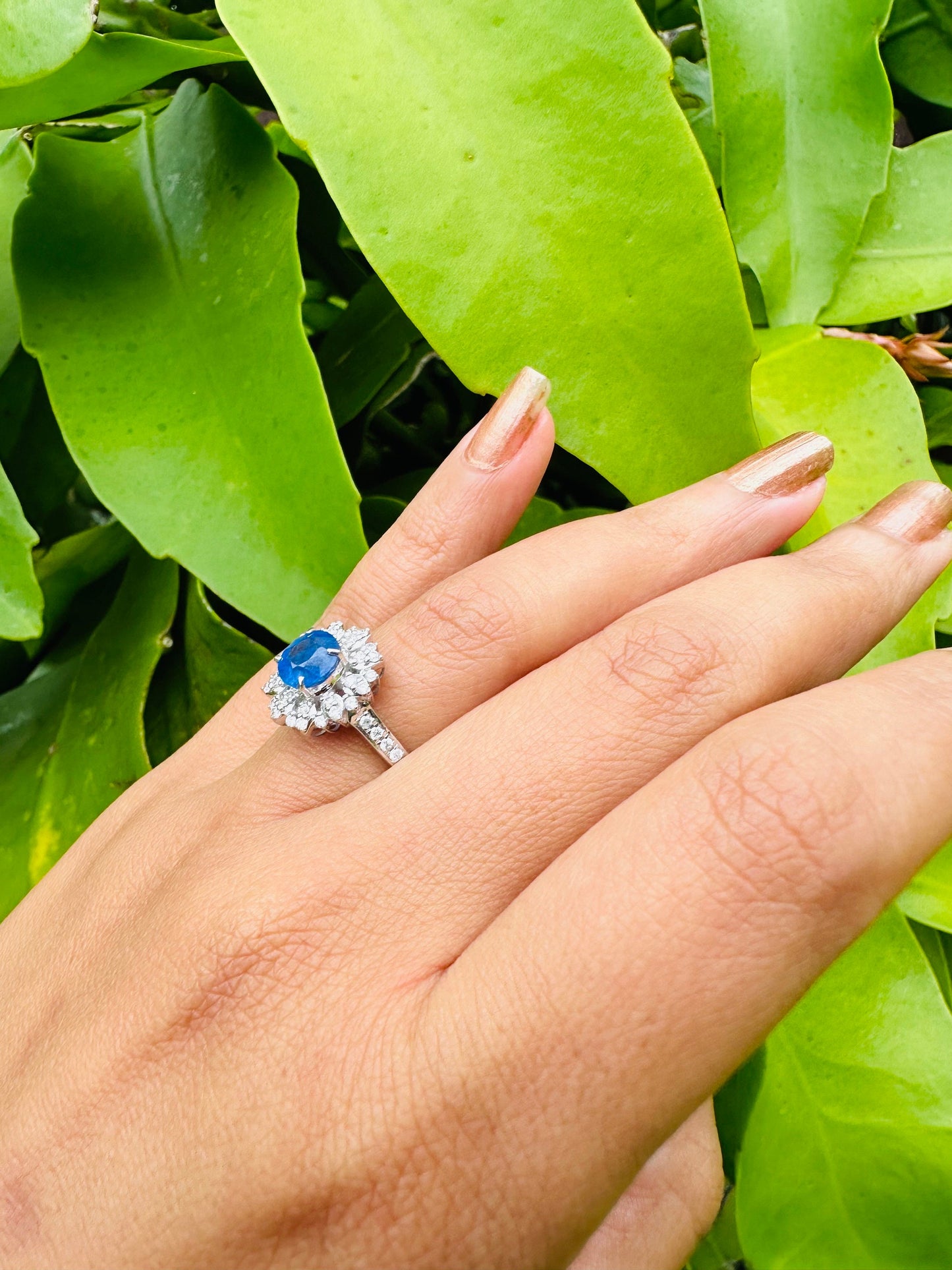 1.63 CT Natural Unheated Burmese Sapphire and natural Diamond Ring