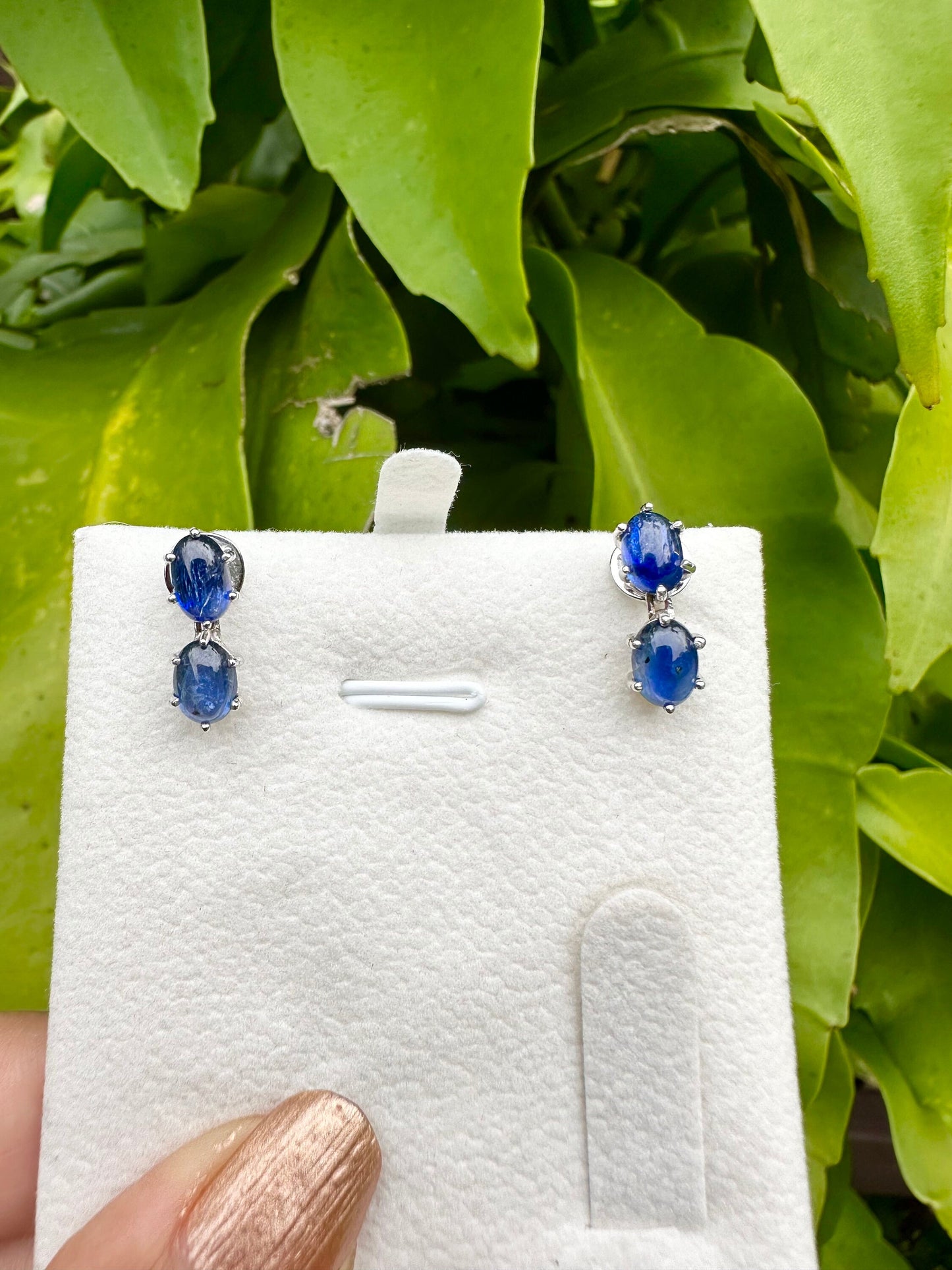 5.3 CT Natural Unheated Burmese (4) Sapphire Cabochons Earring