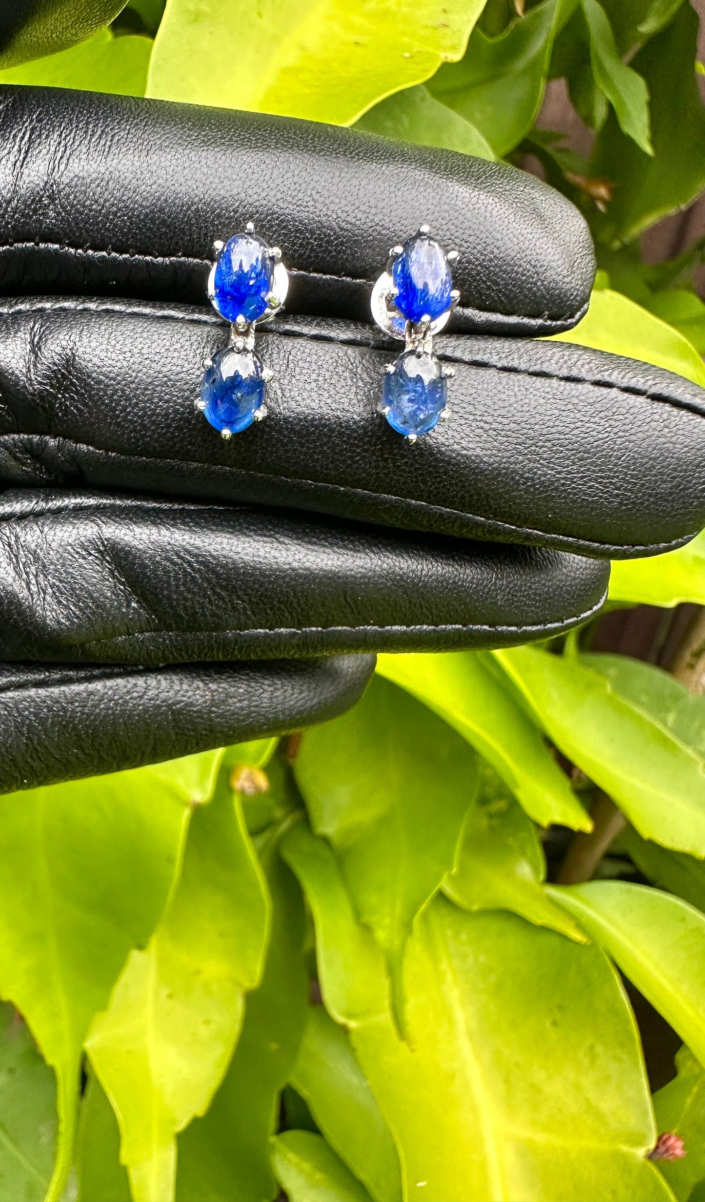 5.3 CT Natural Unheated Burmese (4) Sapphire Cabochons Earring